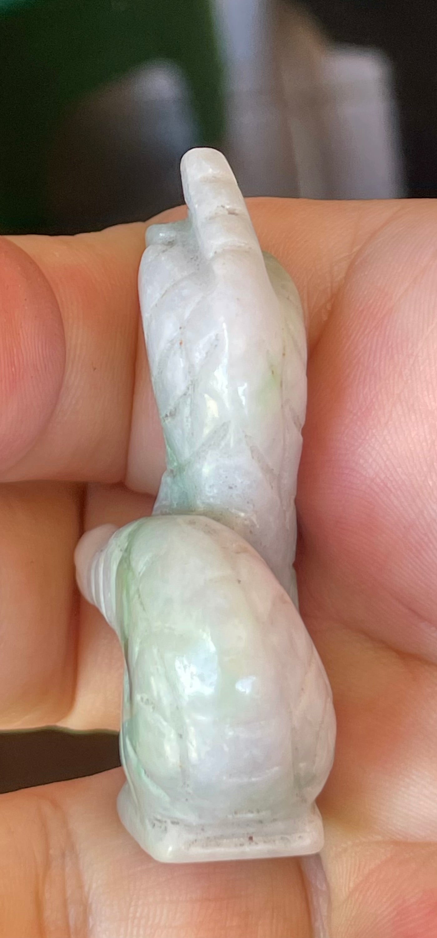 Natural Burmese Jadeite Jade Dragon Carving – Icy Imperial & Apple Green with Milky White Hues – Dragon Motif – JBD002