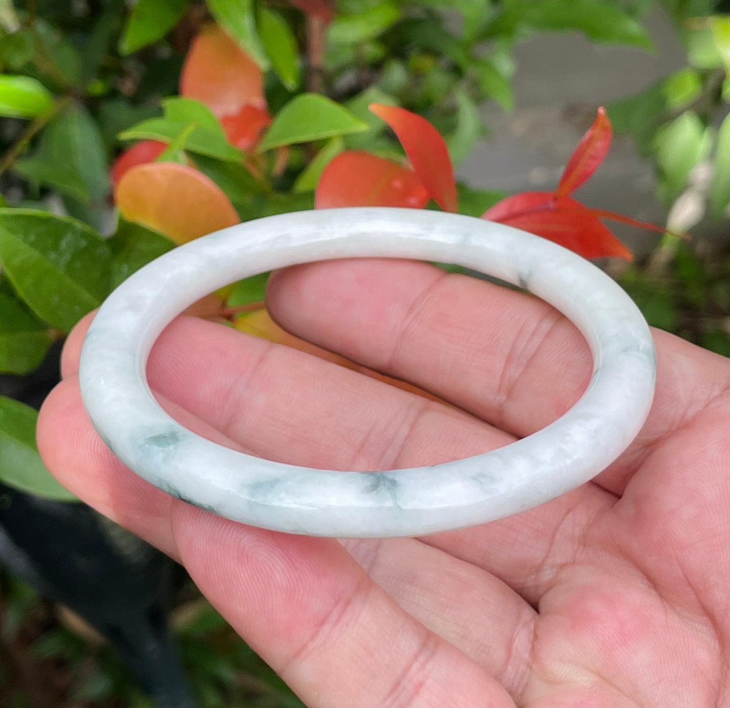 Natural Burmese Jadeite Jade Bangle – Icy Milky White & Imperial Green – Princess Cut – 59mm – JB955