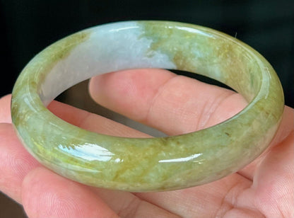 Rounded classic profile of 58.6mm icy green and honey Burmese jade bangle JB521